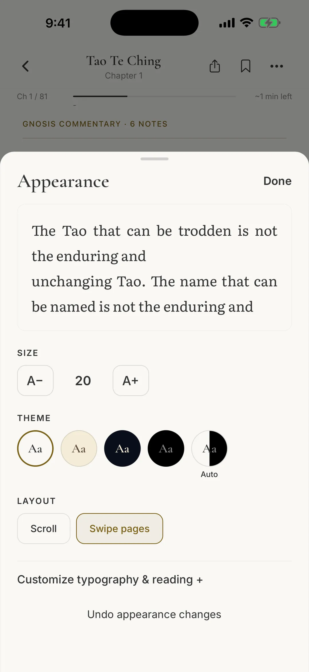 Reading appearance settings with type size, five theme choices and scroll or page layout.