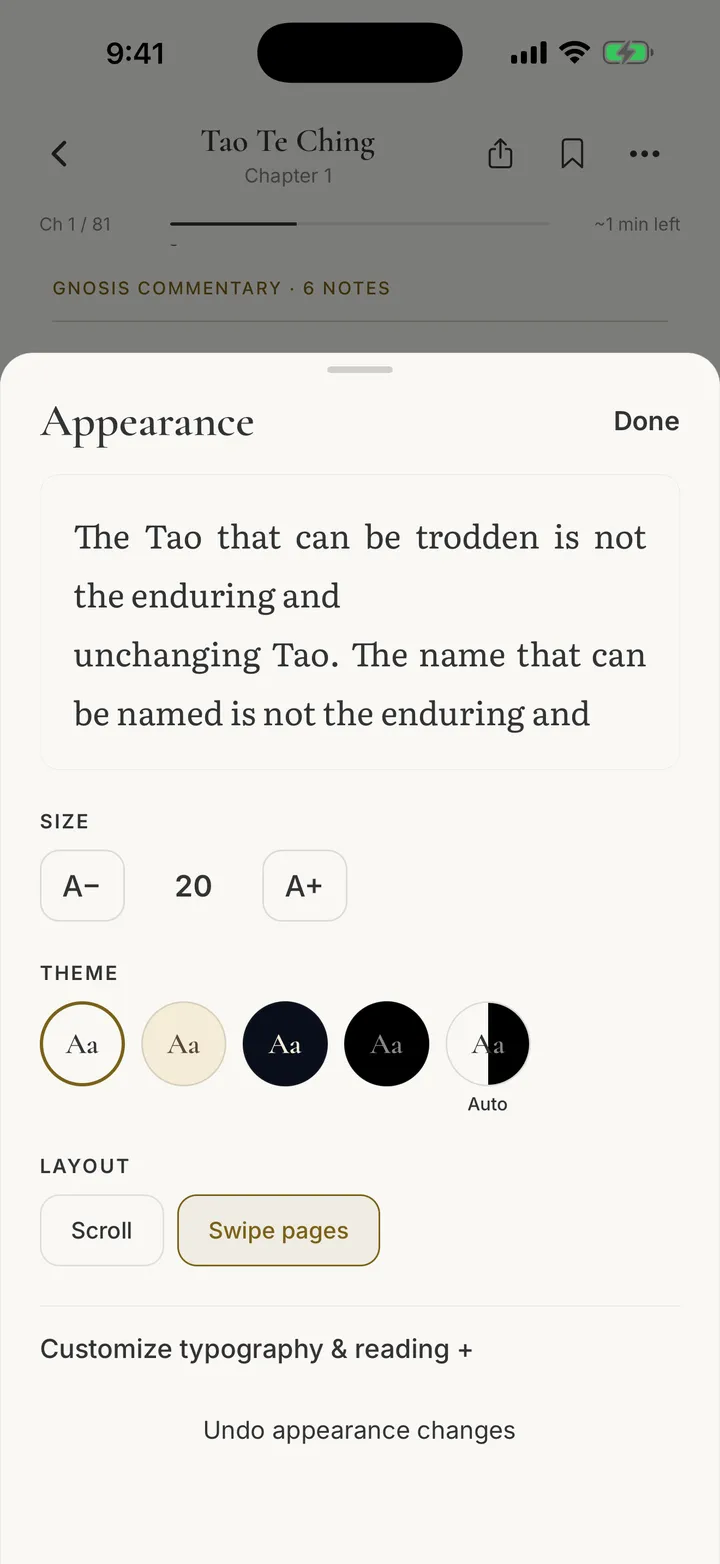Reading appearance settings with type size, five theme choices and scroll or page layout.